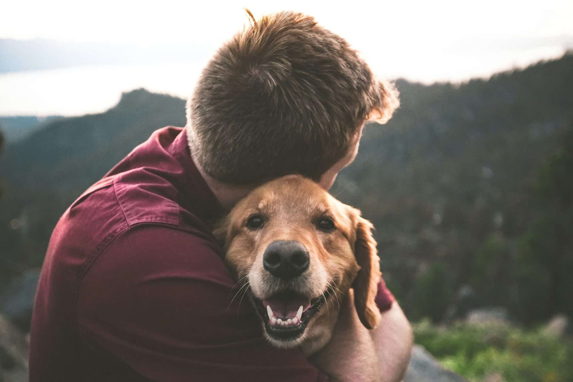 Health Benefits Of Having a Dog