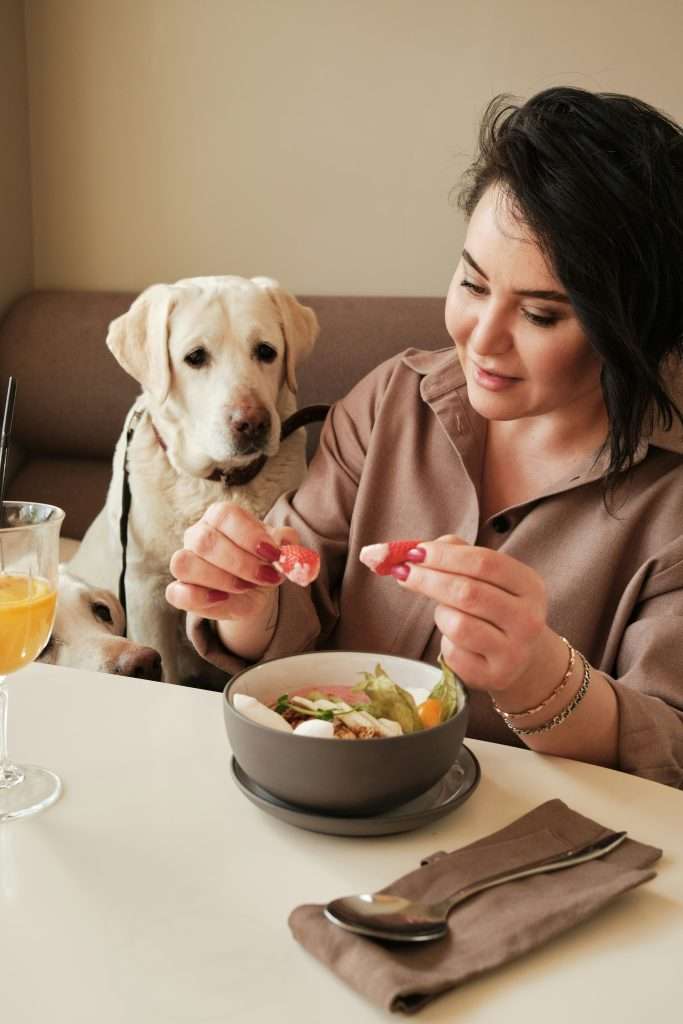 What Human Foods Can Dogs Eat?