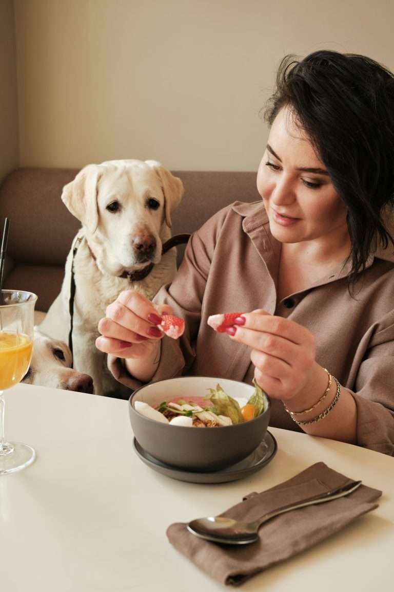What Human Foods Can Dogs Eat?
