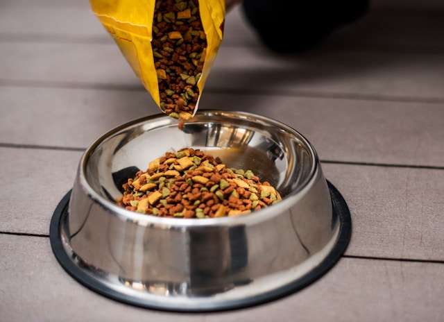 Best Dog Food for Sensitive Stomach and Diarrhea