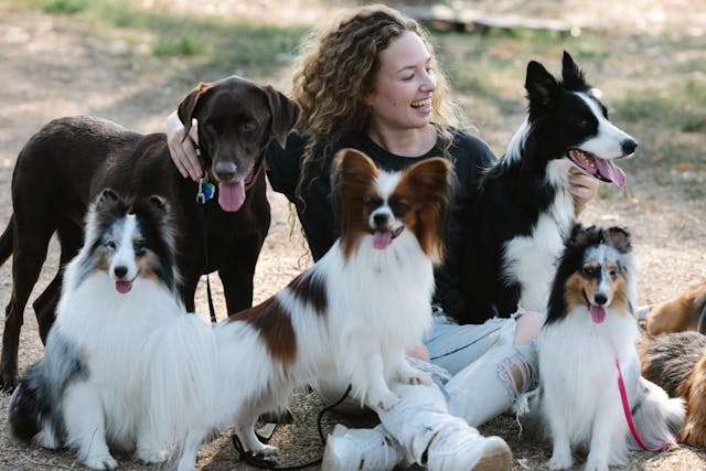 Find the Best Dog Breed for You