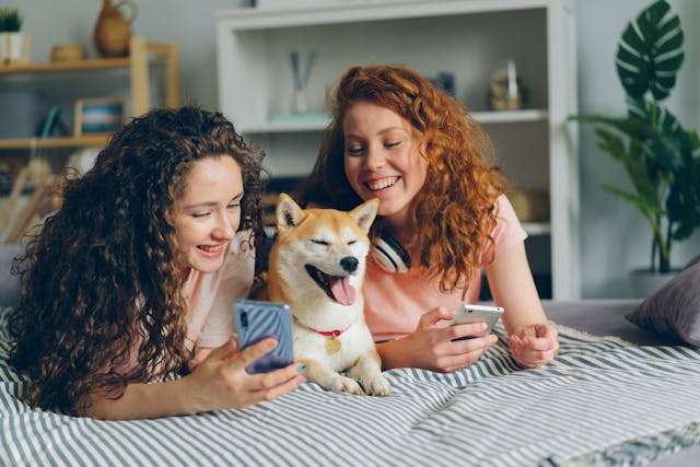 Dog Person