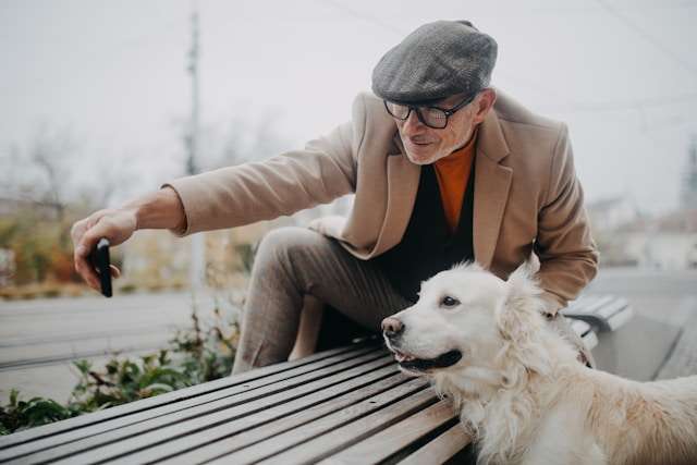 Best Supplements to Support Your Dog’s Immune Health