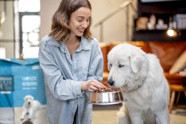 Understanding Dog Food Labels