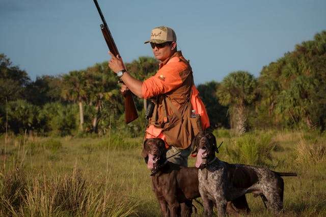 Best Hunting Dog Breeds