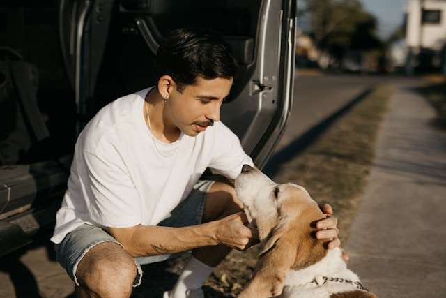 Dog Communication with Humans