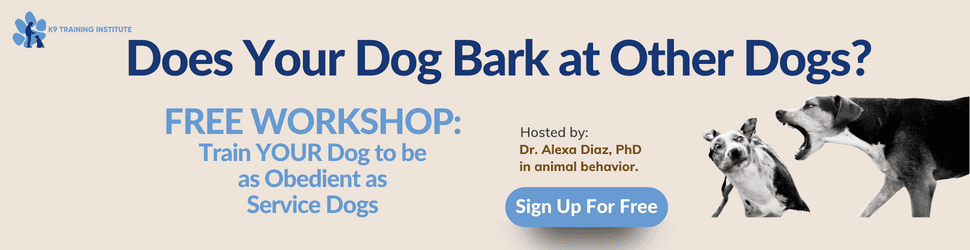 Online Dog Training
