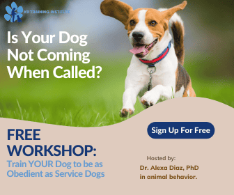 Online Dog Training