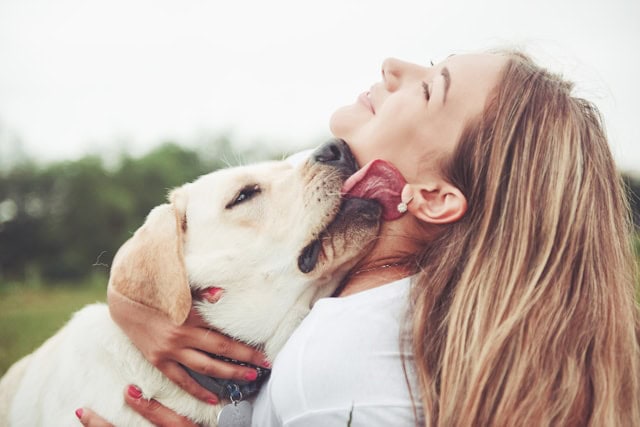 Can Dogs Detect Your Emotions?