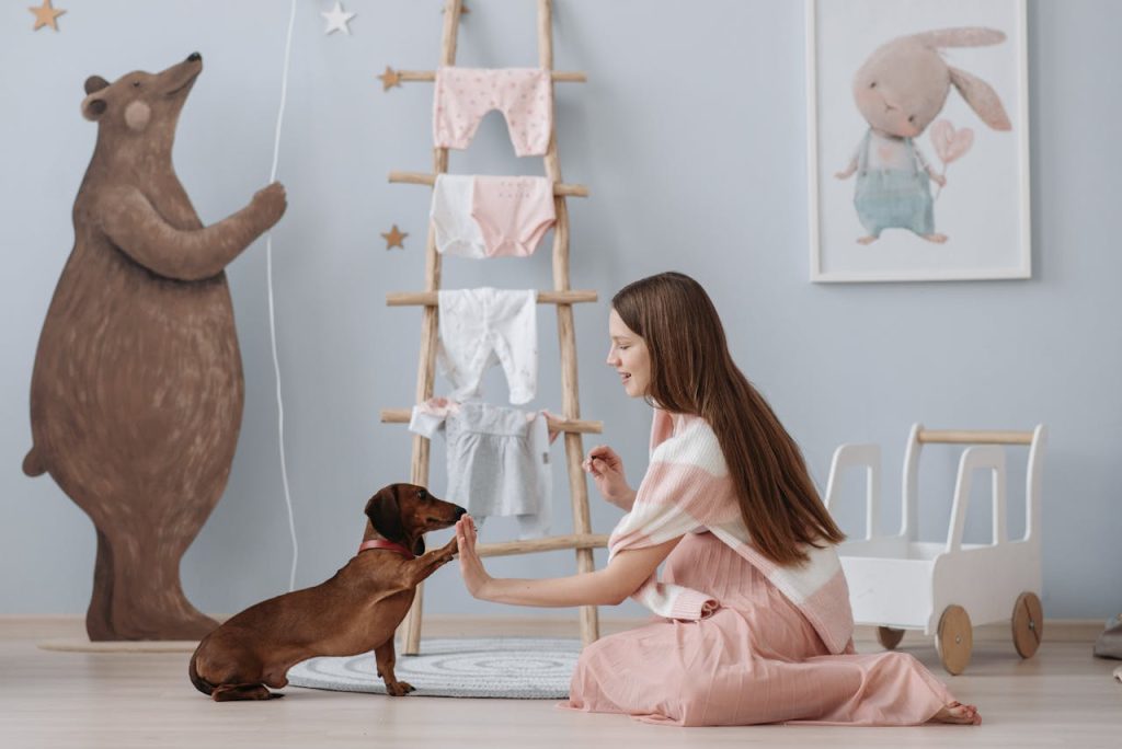 Best Online Dog Training