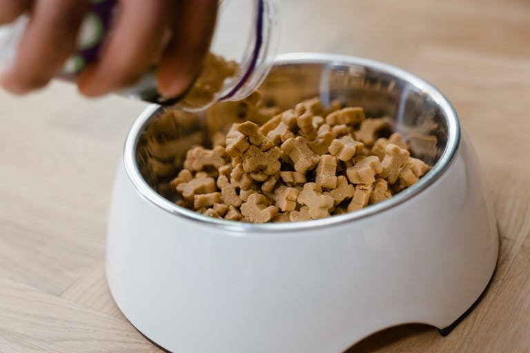 Top 10 Grain-Free Dog Foods Reviewed